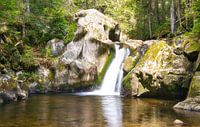 Schöner Wasserfall im Schwarzwald