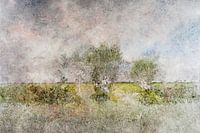 der Wind in den Weiden