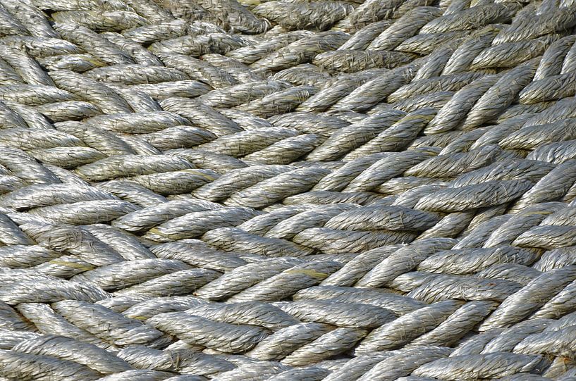 Tau von Corinna Vollertsen