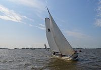 Skûtsje in voller Fahrt