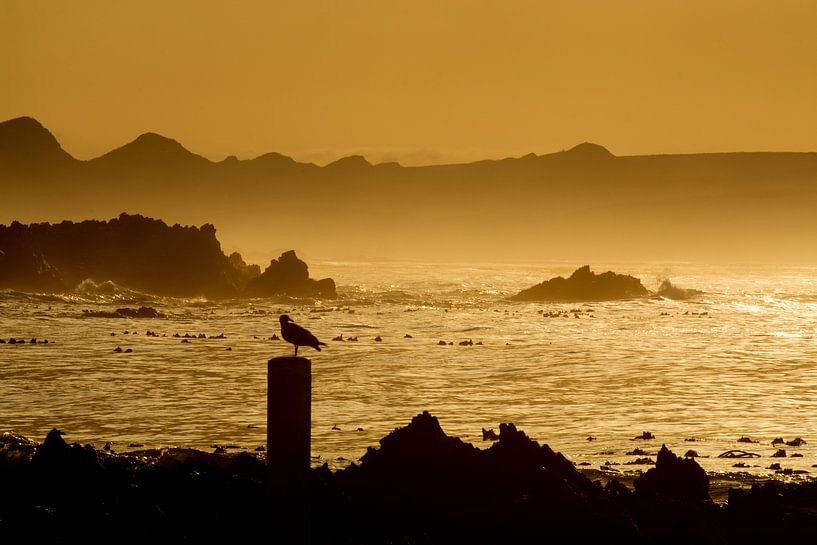 Blick auf Kleinbaai am Westkap in Südafrika von Filip Staes
