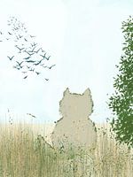 chat, observation des oiseaux, printemps