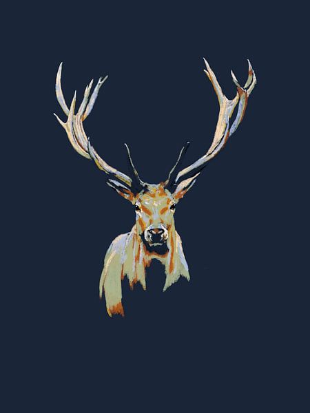 Rentiere in der Nacht von Studio Carper