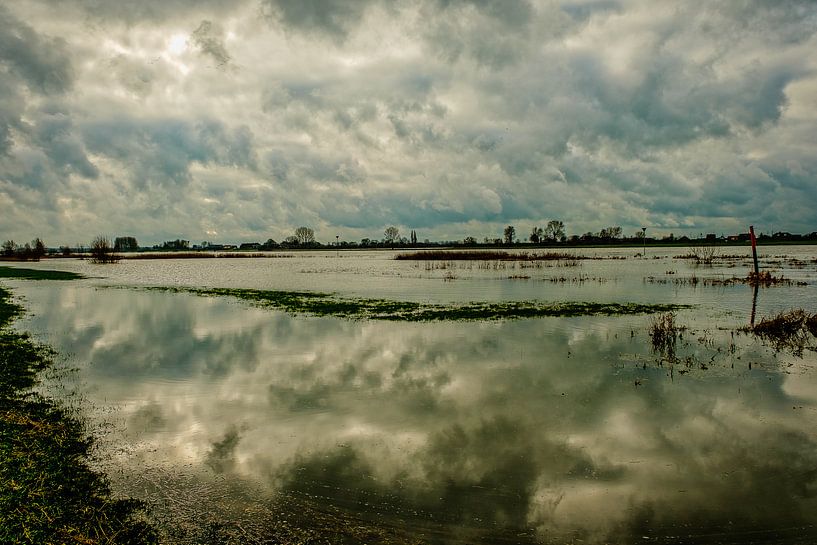 icecream by nol ploegmakers