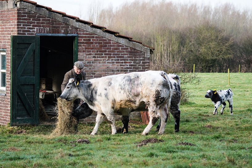 Nieuw leven, begin van de lente.... von Marjo Kusters