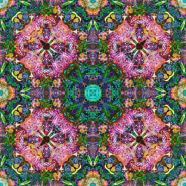 Beech Leaves by Frans Blok - photos, art and other wall decoration