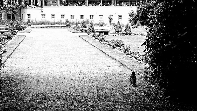 Der Spaziergänger von Petra Dreiling-Schewe