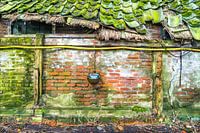 Old stable wall with drinking trough