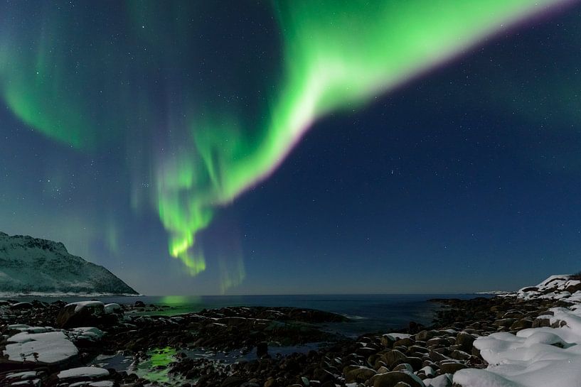 Lumières nordiques, lumière polaire ou aurore Borealis dans le ciel de nuit par Sjoerd van der Wal Photographie