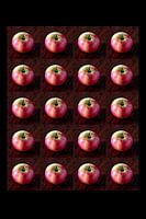 Apfel/Apple