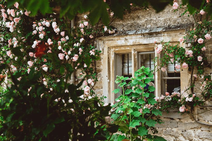 Cosy cottage among roses by Marleen Kuijpers @themissmarple