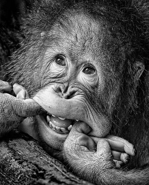 Big Smile.....please by Angela Muliani Hartojo