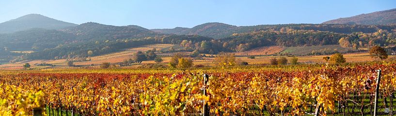Autumn in the vineyards by Leopold Brix