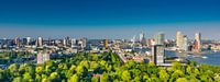 Rotterdam skyline green and bleu