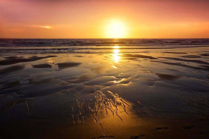 Le son de la mer par Claudia Moeckel