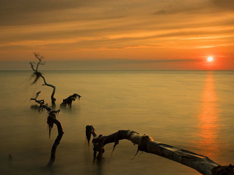 Coucher de soleil sur l'île de Darß par Katrin May