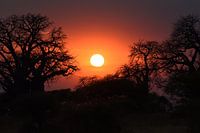 Sonnenuntergang im Tarangire-Nationalpark, Tansania