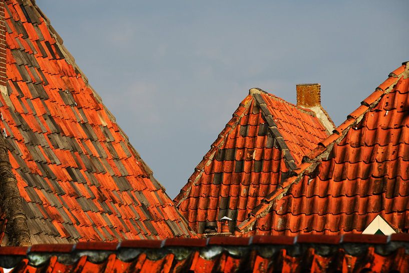 Puntdak/rooftop par Harrie Muis