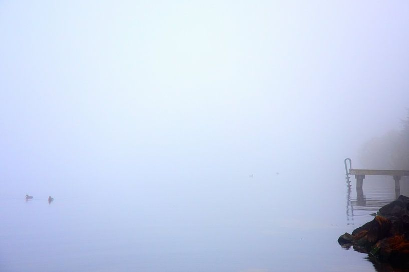 Neem gerust een Plons (Splash) by Ernst van Voorst