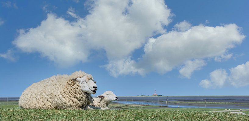 L'idylle de la Frise du Nord par Peter Eckert
