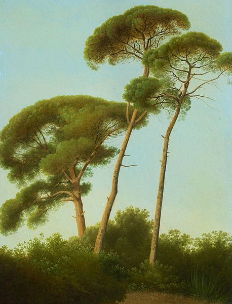 Pine Trees, Joseph August Knip van Meesterlijcke Meesters