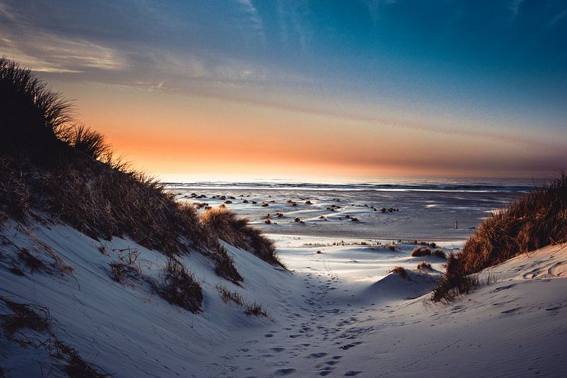 Schylger Your by Arjen Zeeders