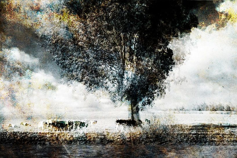 Grazing cows on the Meuse by Peter Baak