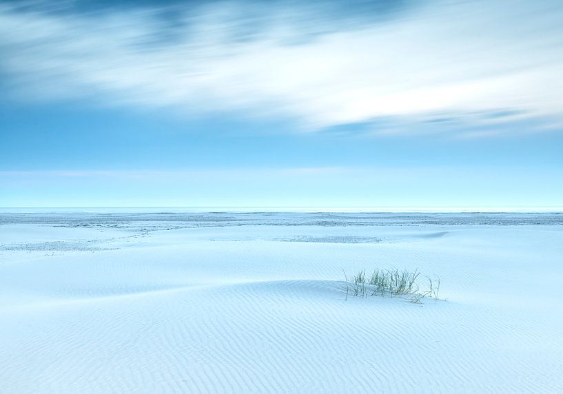 Ripple von Wad of Wonders