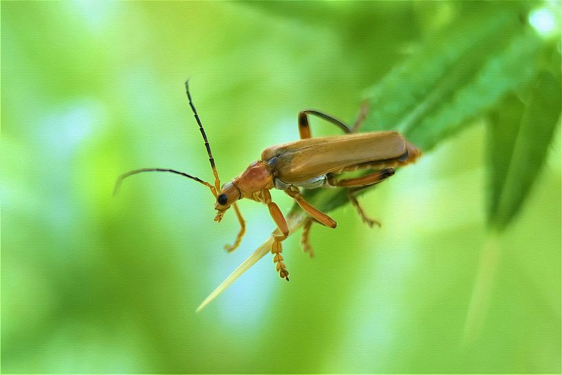Makroaufnahme eines Soldaten im Grünen von Maud De Vries