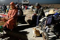 Katze auf den Fischmarkt, nachts in Essaouira, Marokko
