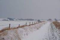 Texel im Schnee