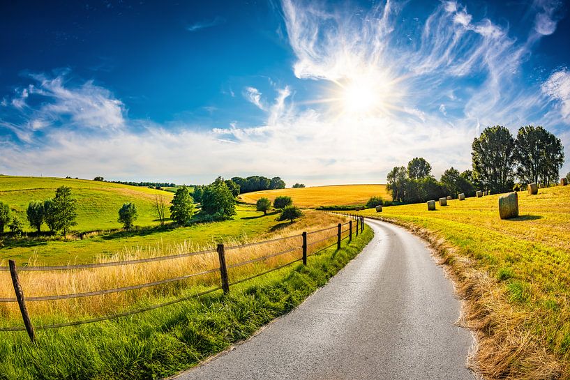 Paysage d'été par Günter Albers