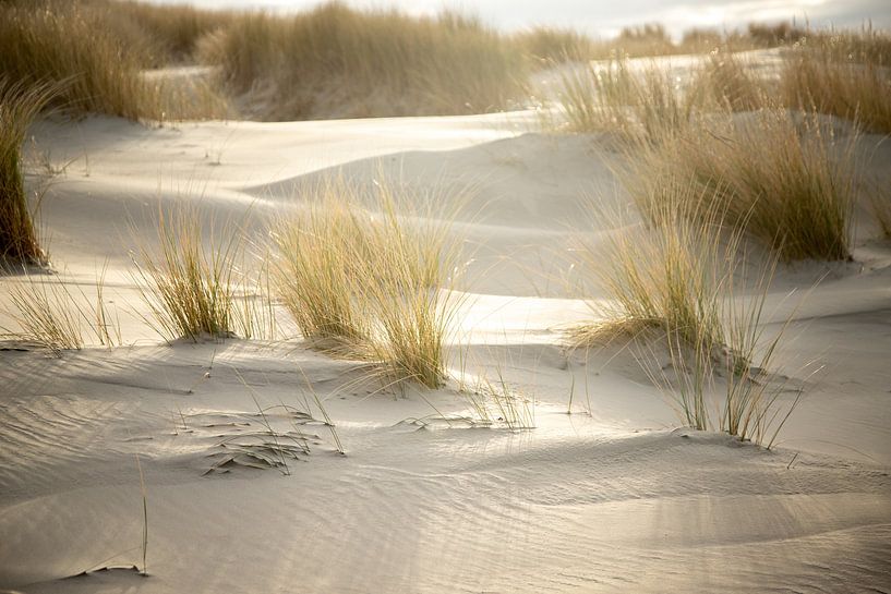 sunrise in the dunes on the beach | fine art nature photo by Karijn | Fine art Natuur en Reis Fotografie