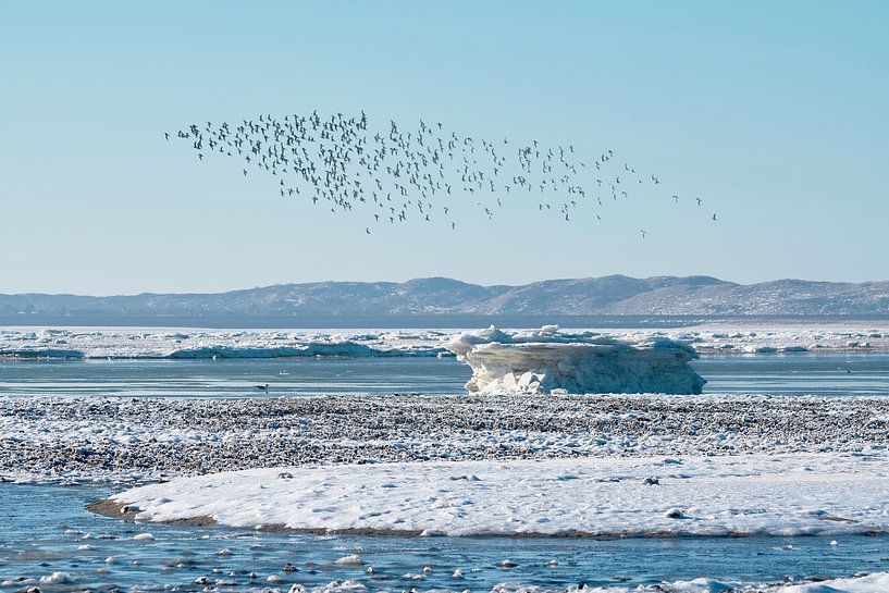 Hiver glacial dans la mer des Wadden par Bodo Balzer