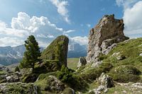 Ruige natuur in de Dolemieten