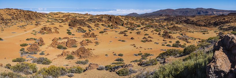 Teneriffa Nationalpark von Walter G. Allgöwer