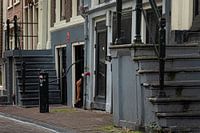 Ich bin die Dame mit den High Heels // Rotlichtviertel