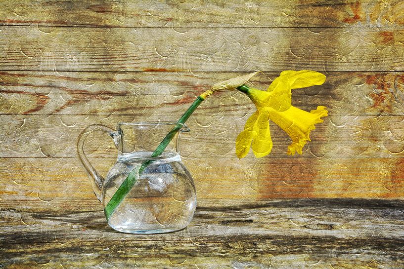 Narcisse par Claudia Evans