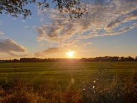 Hintergrundbeleuchtung Gold