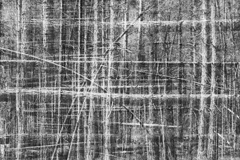 Gevlochten bomen in zwart wit - abstract met multiple exposure van Marianne van der Zee