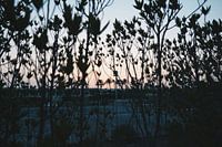 Sonnenuntergang oder Sonnenaufgang?