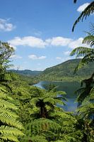 Blue Lake, a lake near Rotorua