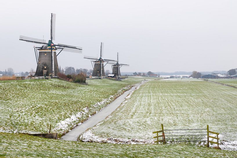 Molen Driegang, Leidschendam van Jacqueline de Groot