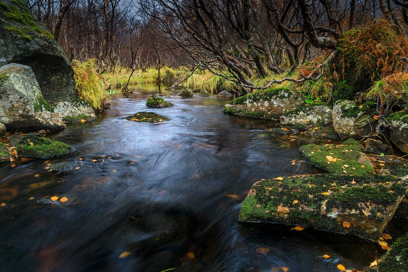 Lofoten von Henk Meeuwes