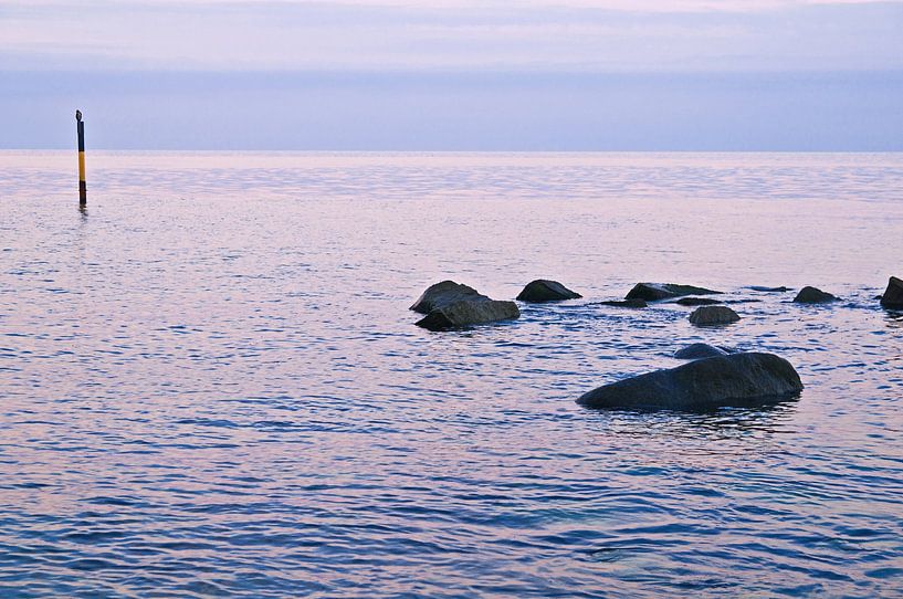 Blaue Stunde im Nationalpark Jasmund auf der Insel Rügen von Silva Wischeropp