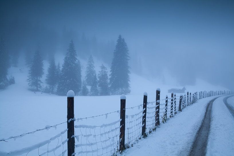 Winter trip by Olha Rohulya