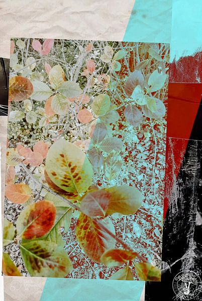 Laubgeflüster von treesgivepeace.nl