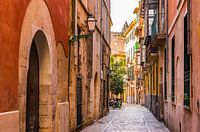 Old town of Palma de Mallorca, Spain Balearic Isalnds
