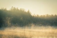 Foggy sunrise at the lake