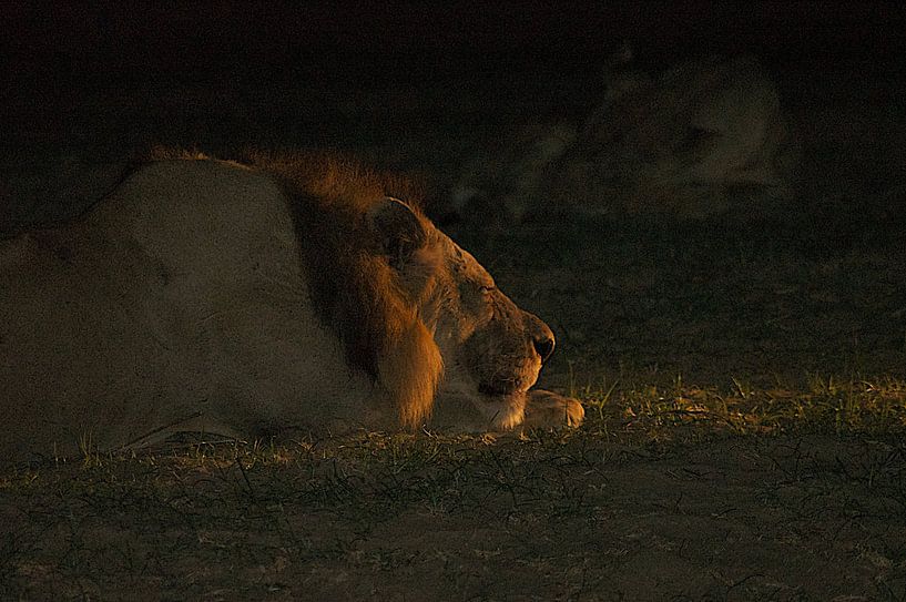 Laat mij met rust. van Anjo Schuite